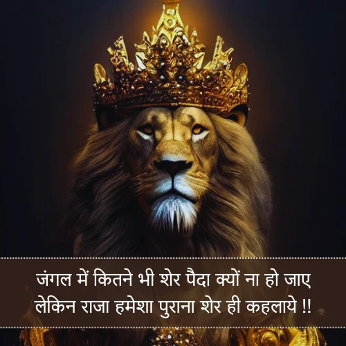 King Shayari King Shayari
