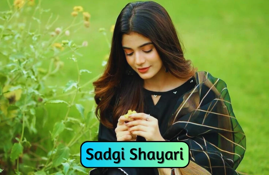 Sadgi Shayari